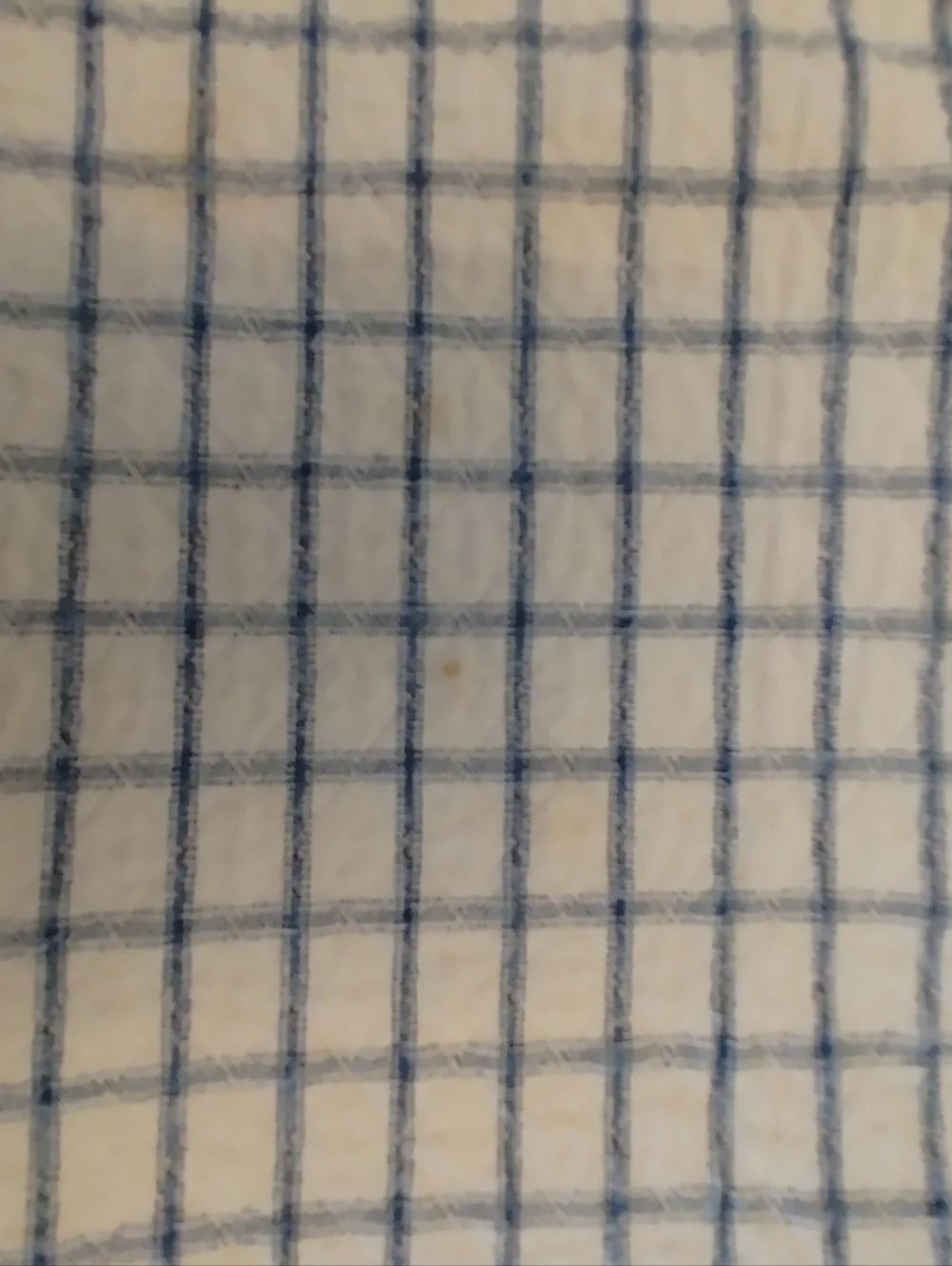 VTG White and Blue Grid Cotton Placemats - Set of 4 - 21x13